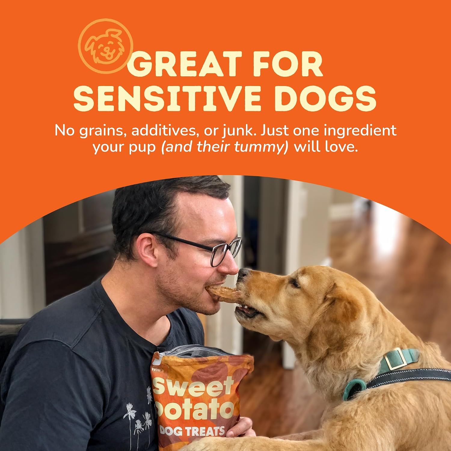 Reassures pet owners that the product is ideal for dogs with sensitivities, featuring no grains, additives, or junk—just one clean ingredient.