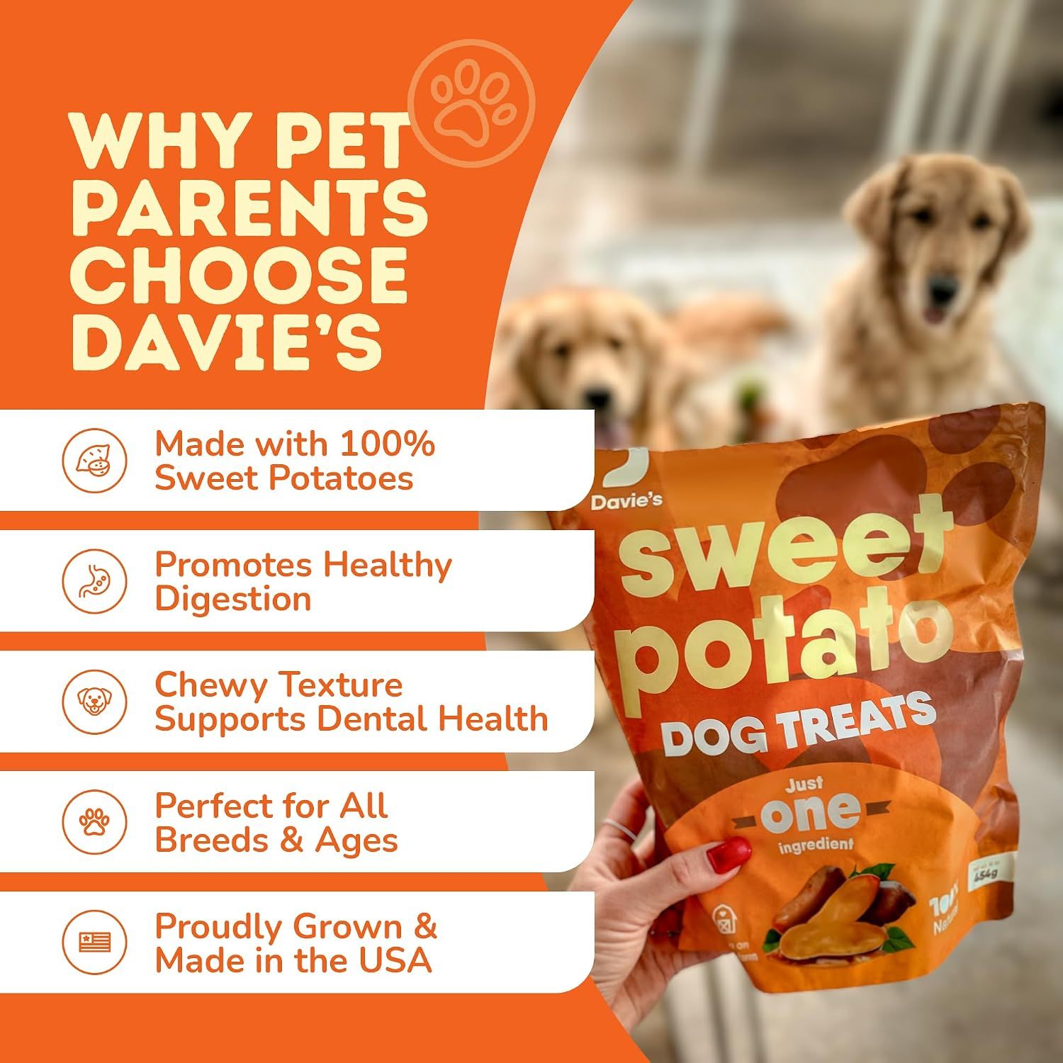Showcases five distinct reasons why pet parents choose this product in a segmented layout, highlighting ingredient purity, health benefits, versatility, and origin.