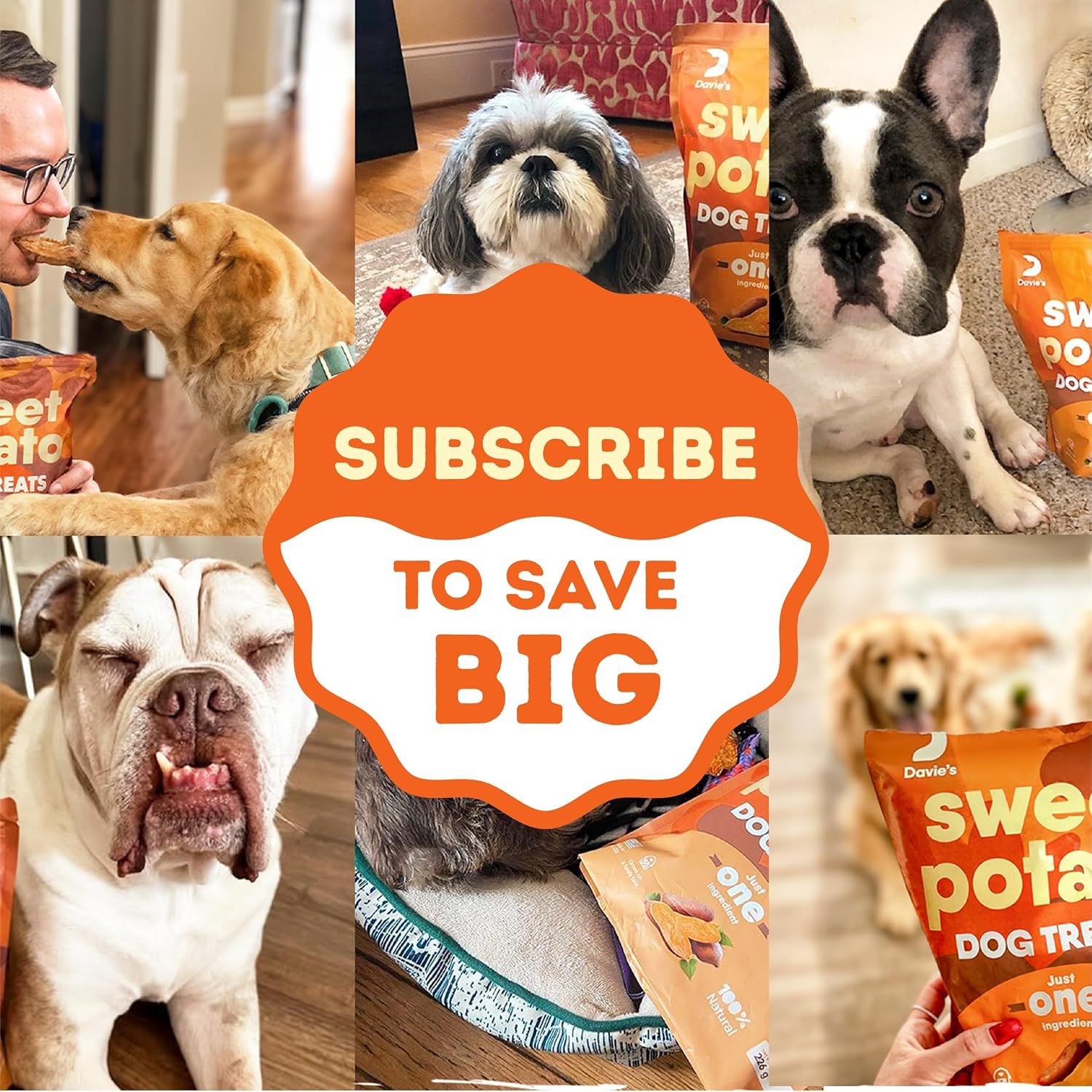 Uses real customer photos in a collage layout to build social proof and show authentic dogs enjoying the product, encouraging subscription sign-ups with a savings message.