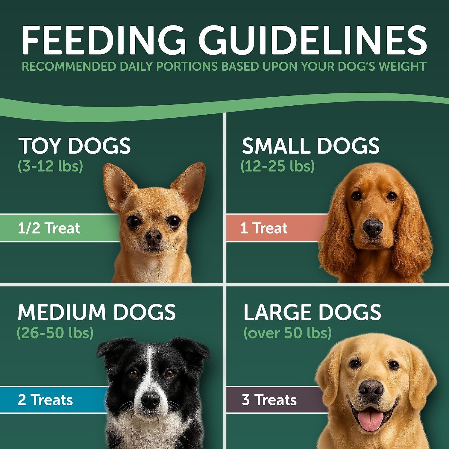 Provides clear feeding guidelines showing recommended daily portions based on dog size to help pet owners use the product correctly and safely.