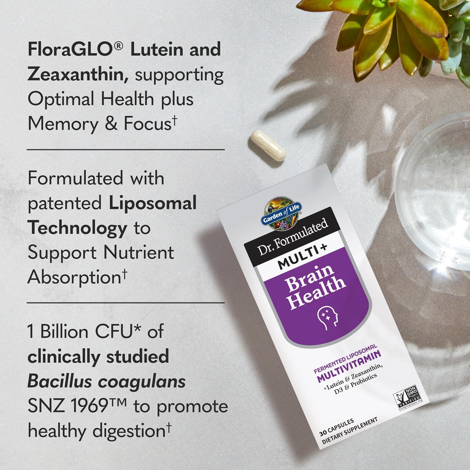 Amazon.com: Garden of Life Dr. Formulated Multi+ Brain Health Capsules : Health &…: Infographics