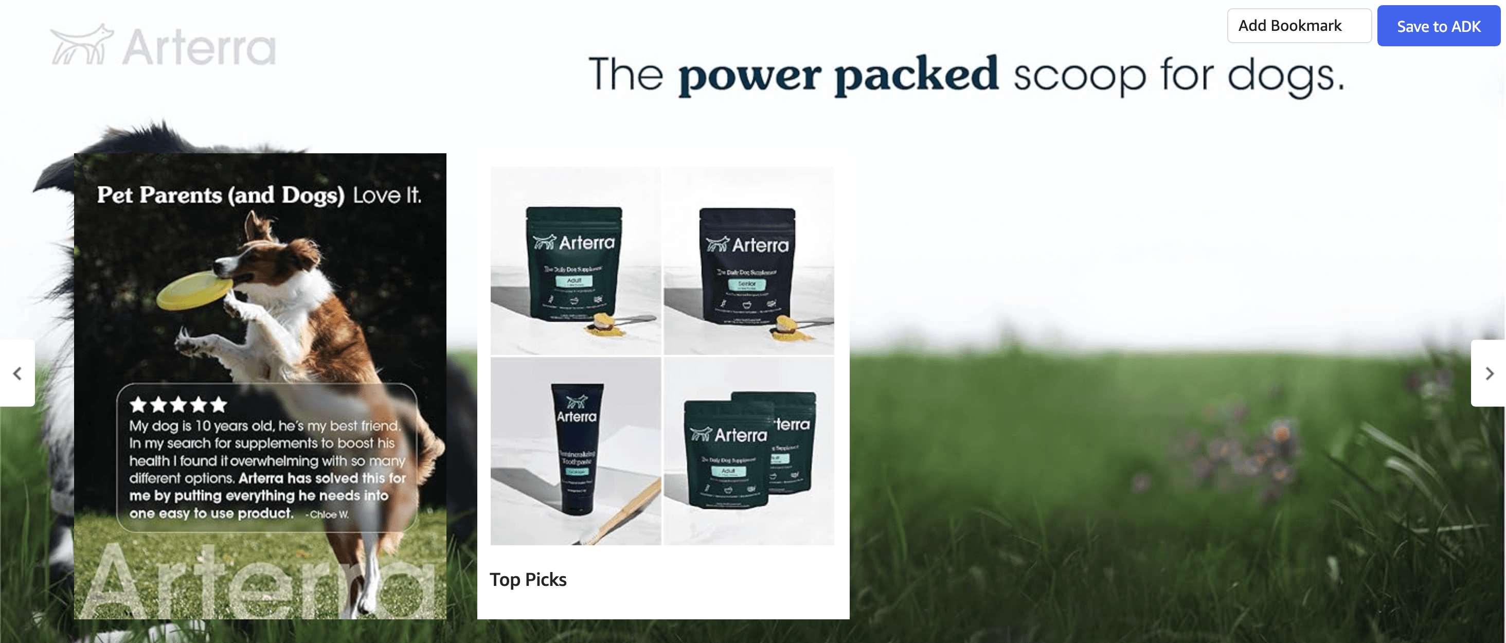 Amazon.com : All-in-One Dog Supplement for Advanced Wellness & Longevity: Brand Stories