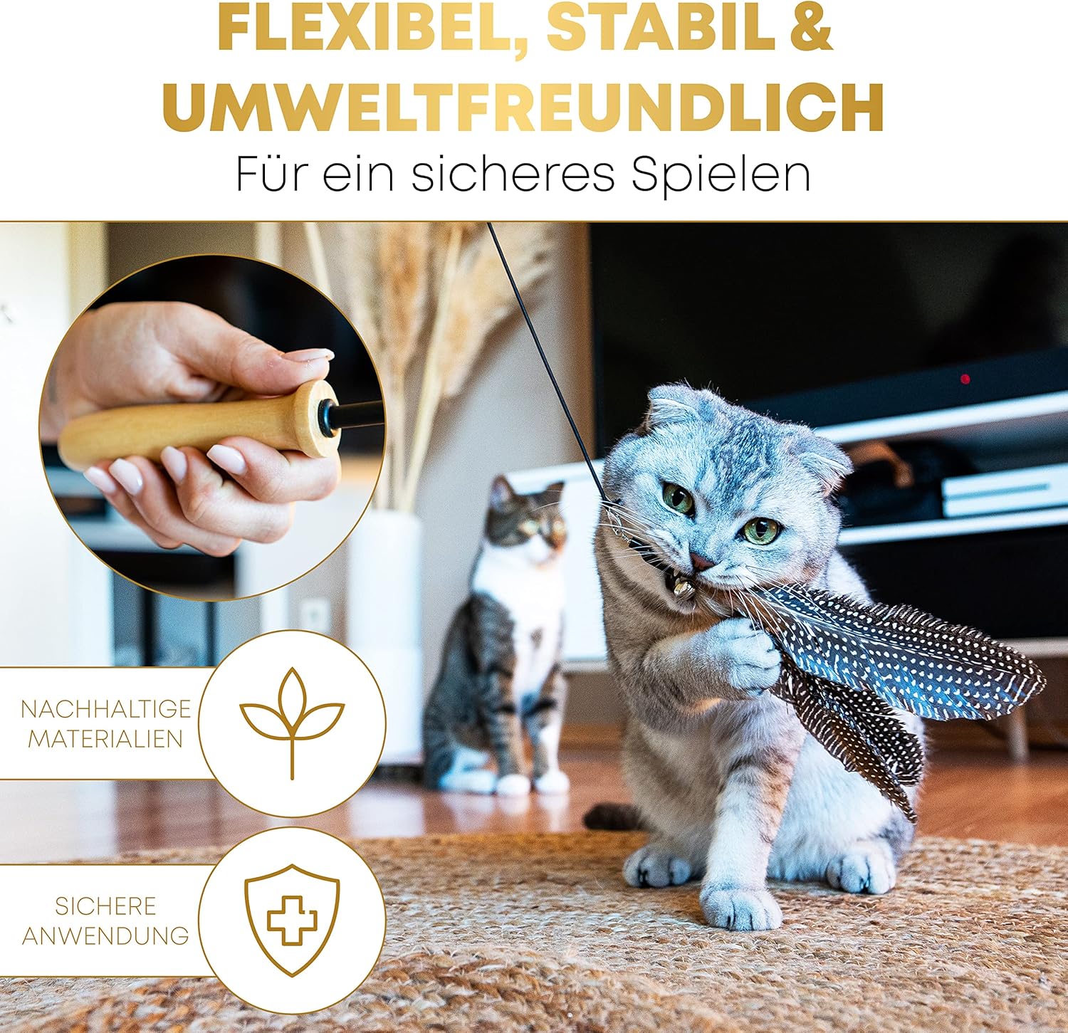 St.Pawly® Katzenangel: Infographics