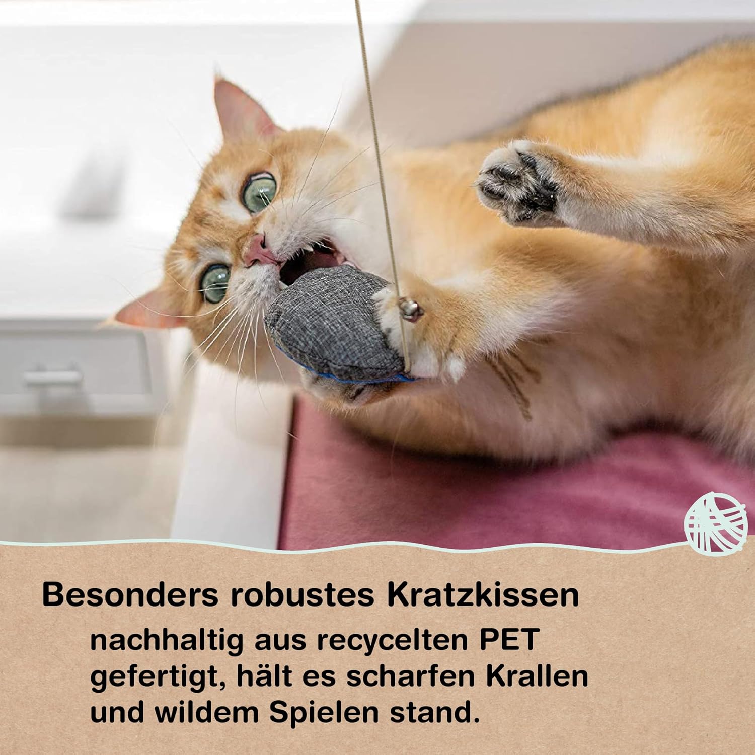 Samtpfote® Katzenangel: Infographics