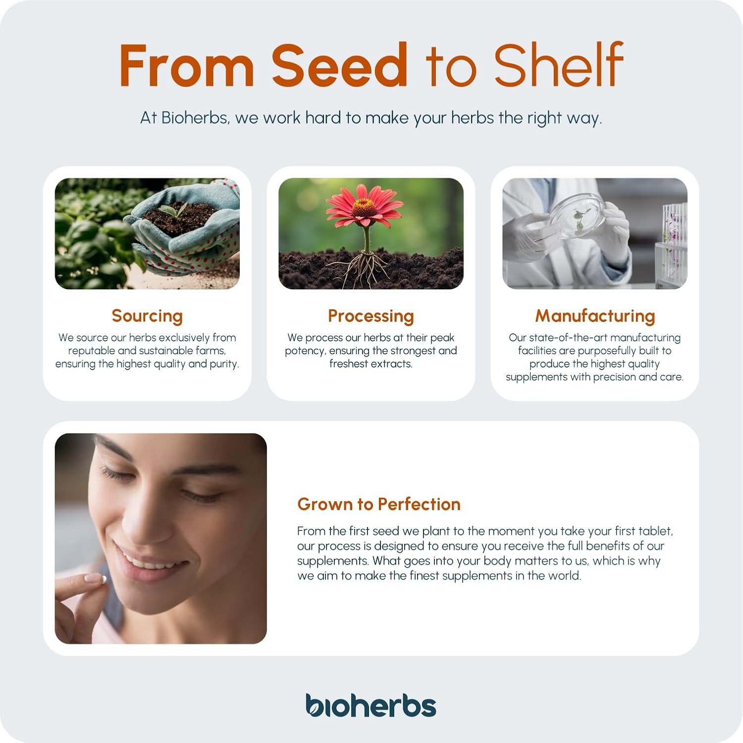 BioHerbs Echinacea Tablets High Strength: Infographics