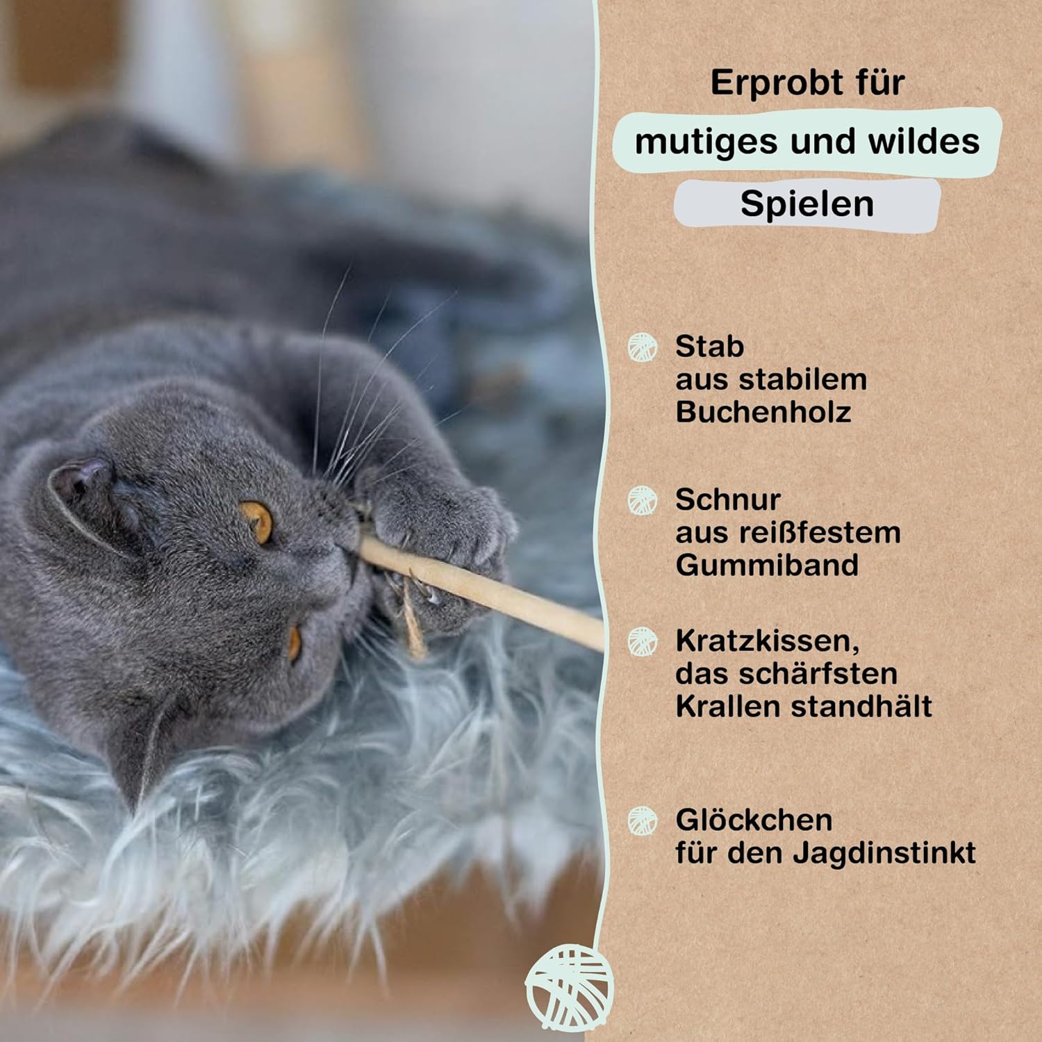 Samtpfote® Katzenangel: Infographics