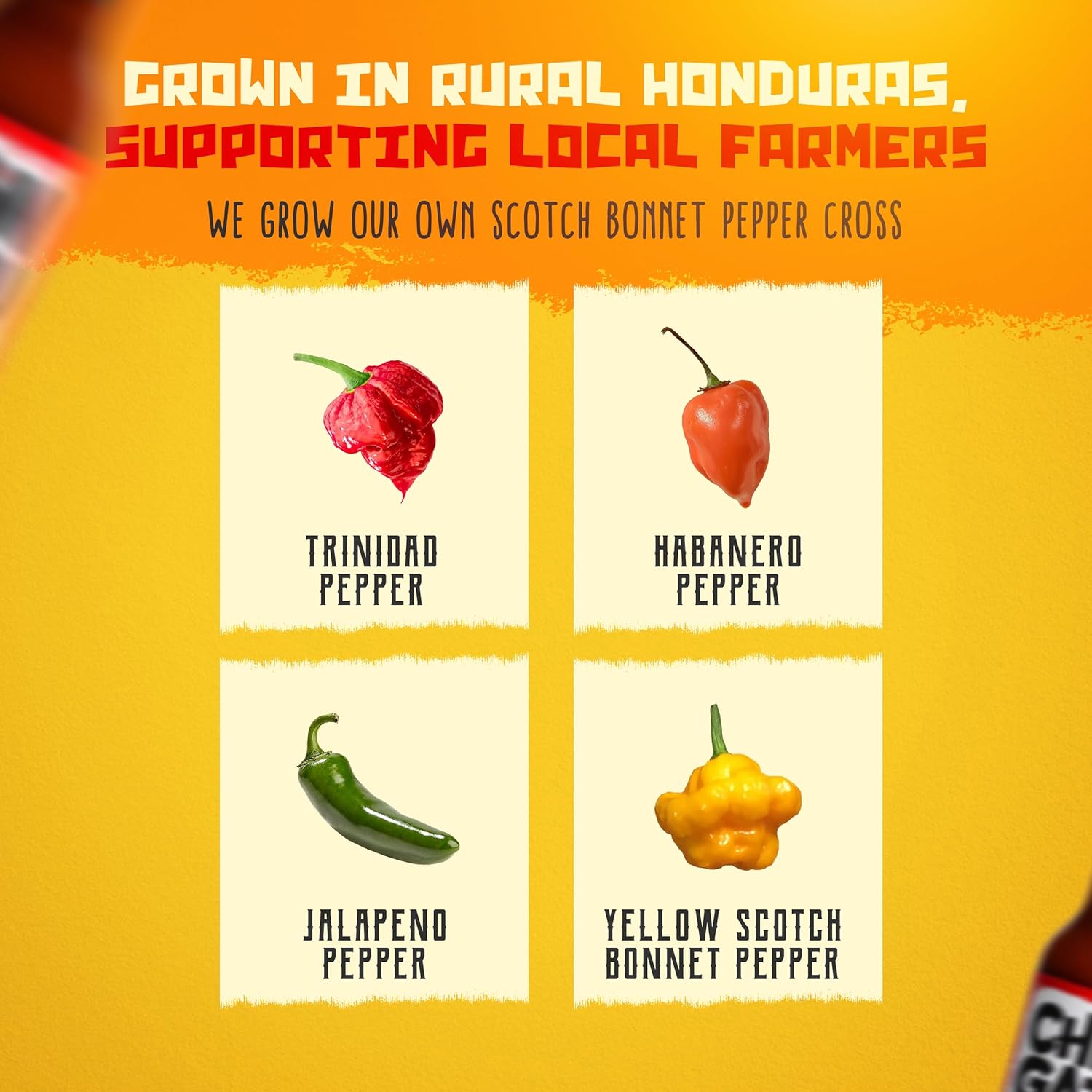 Amazon.com : ChingaTuLengua Habanero Hot Sauce: Infographics