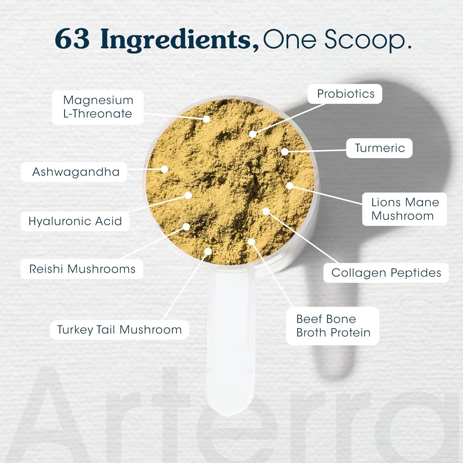 Amazon.com : All-in-One Dog Supplement for Advanced Wellness & Longevity: Infographics