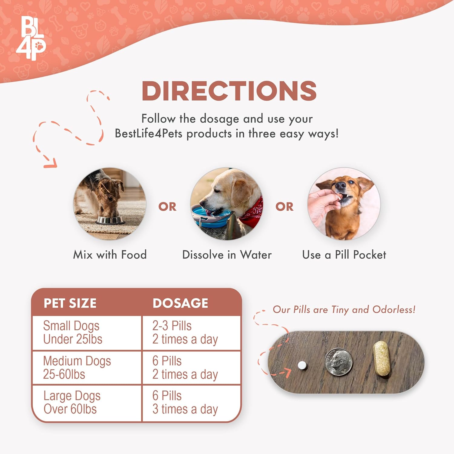 Amazon.com : Mange Treatment for Dogs: Infographics