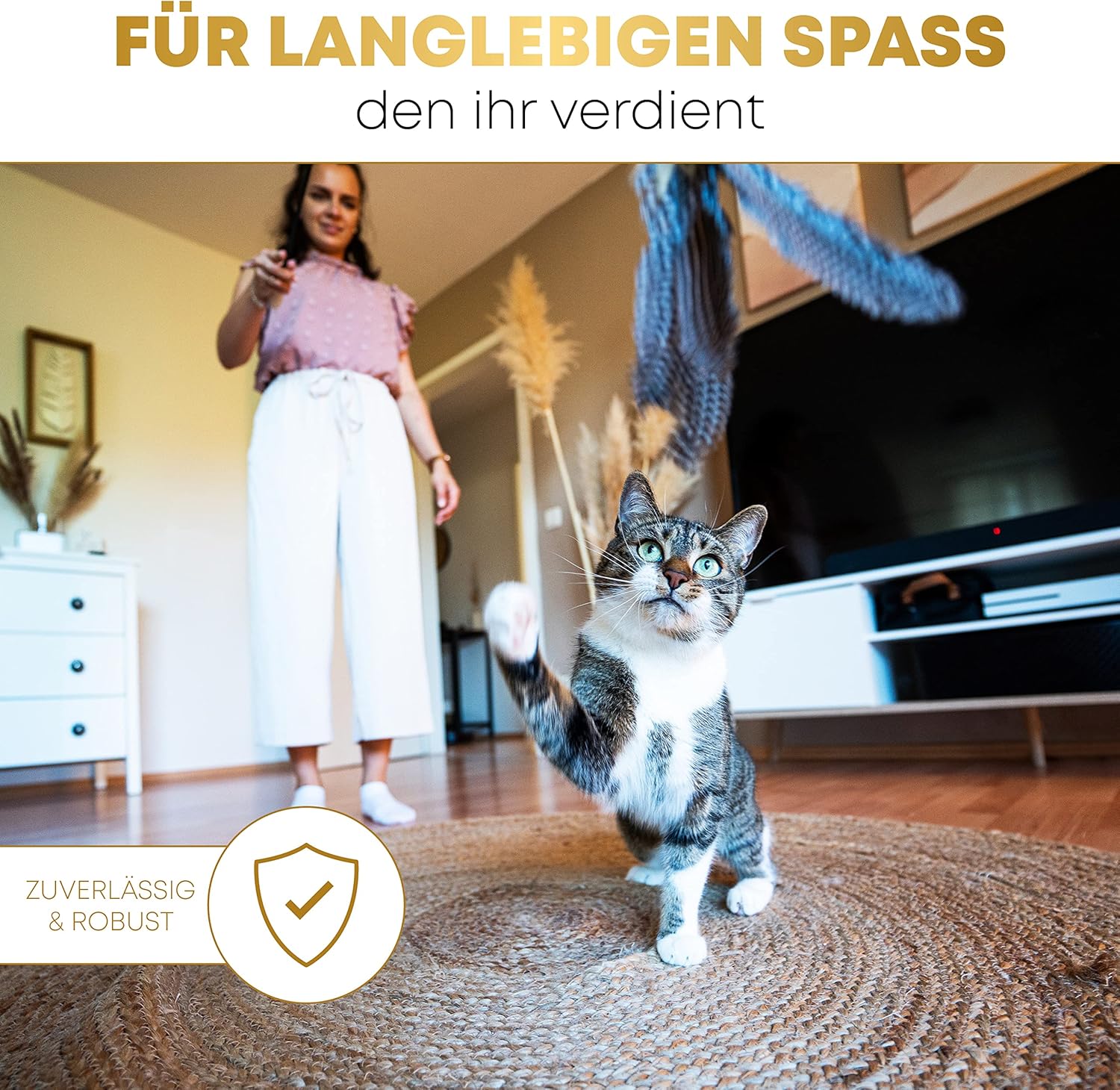 St.Pawly® Katzenangel: Infographics