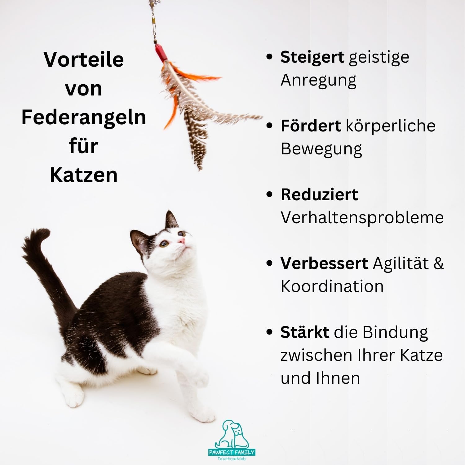 Pawfect Family® Interaktives Katzenspielzeug Set: Infographics