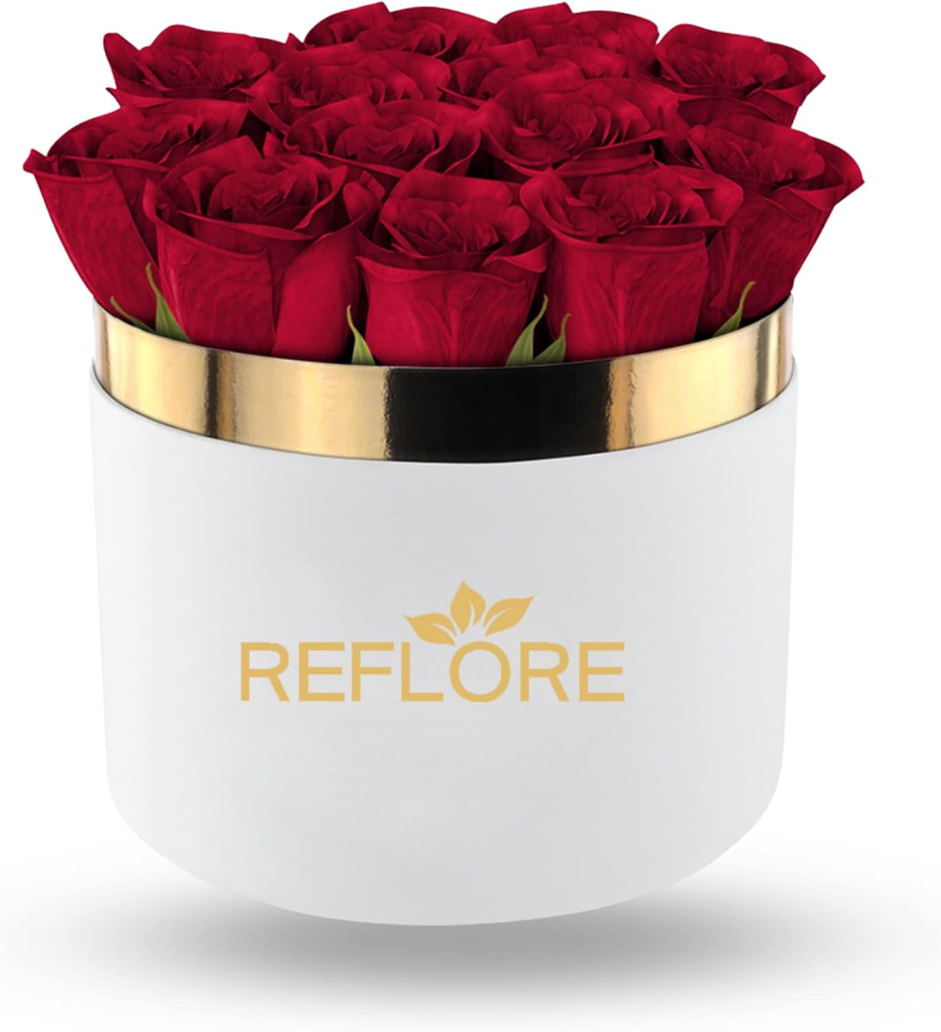 REFLORE 12 Rose Stabilizzate Vere Made in Italy: Infographics