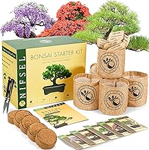 Amazon.com : kit: Hero Images