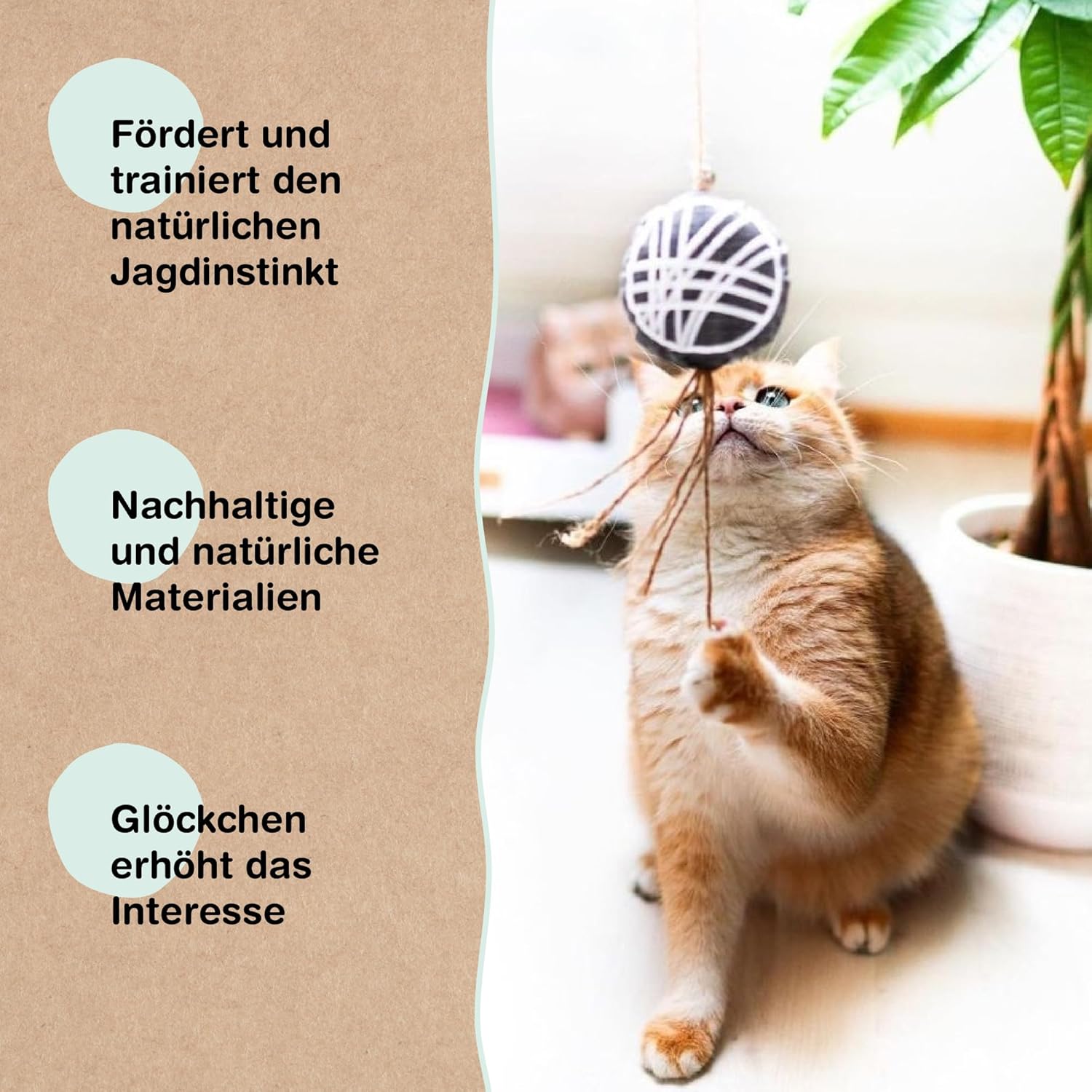 Samtpfote® Katzenangel: Infographics