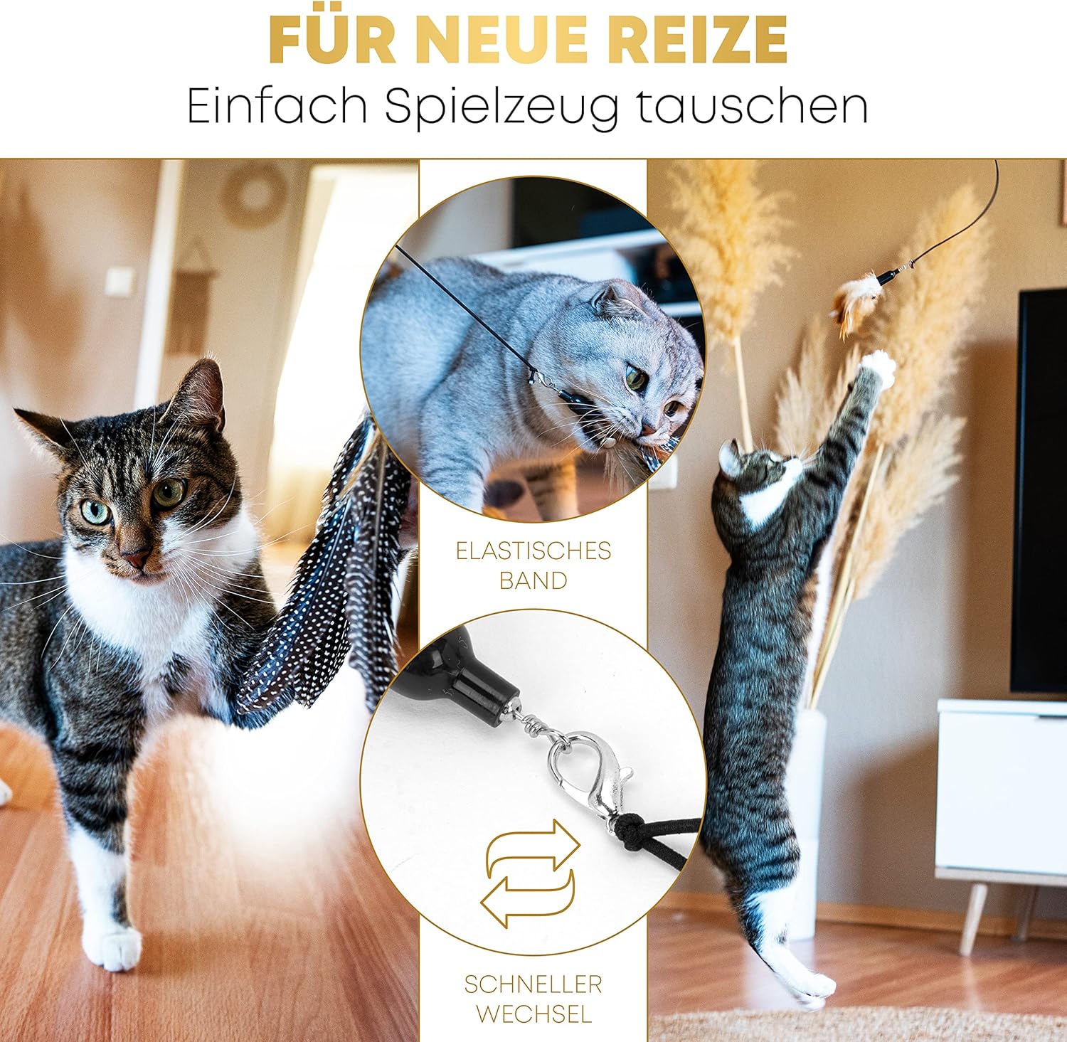 St.Pawly® Katzenangel: Infographics