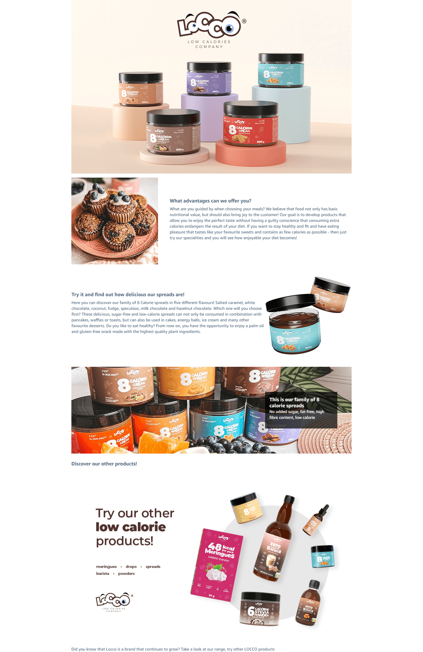 LOCOCO Low Calorie Chocolate Hazelnut Spread: A+ Premium