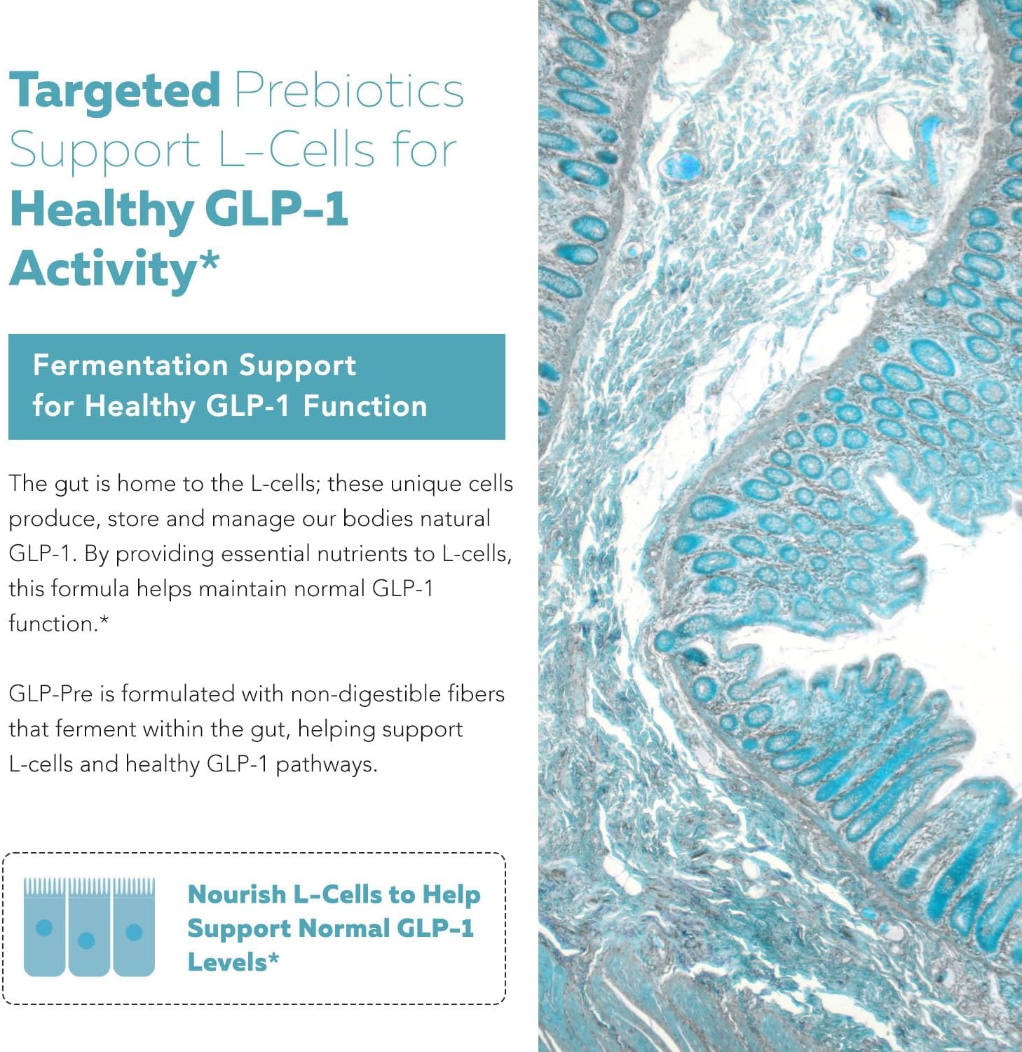 Amazon.com: GLP-Pre: Infographics