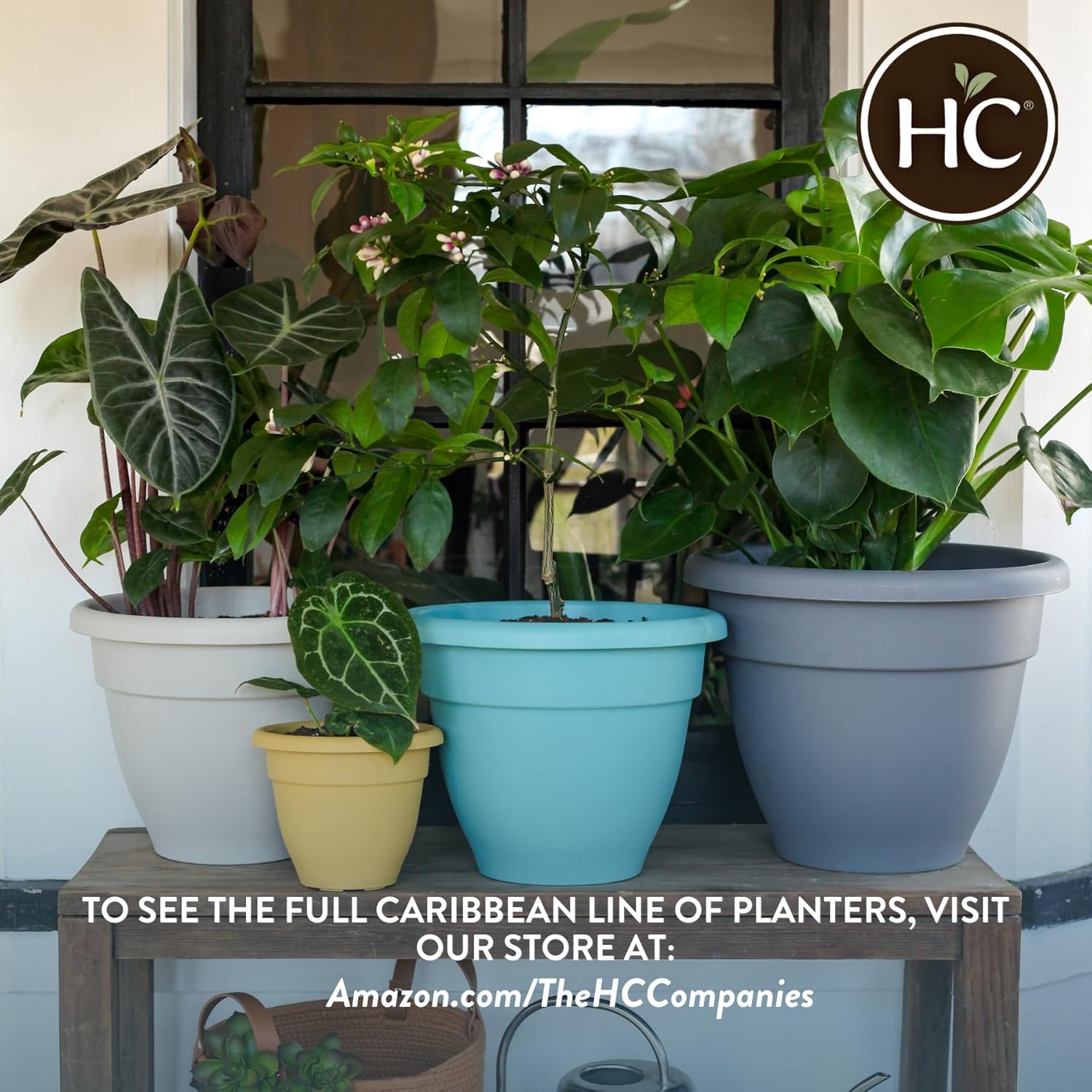 Amazon.com: The HC Companies 12 Inch Caribbean Planter: Infographics