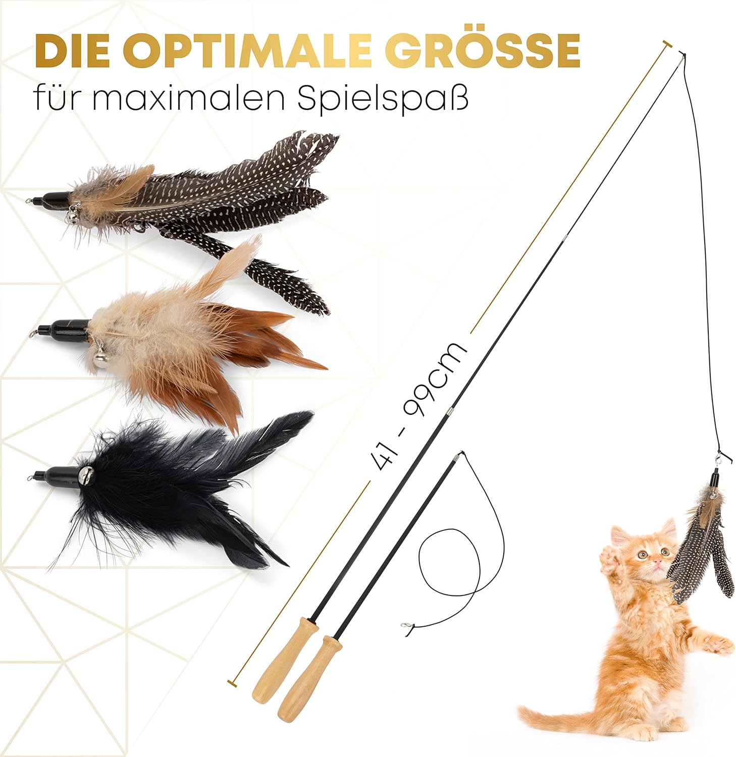 St.Pawly® Katzenangel: Infographics