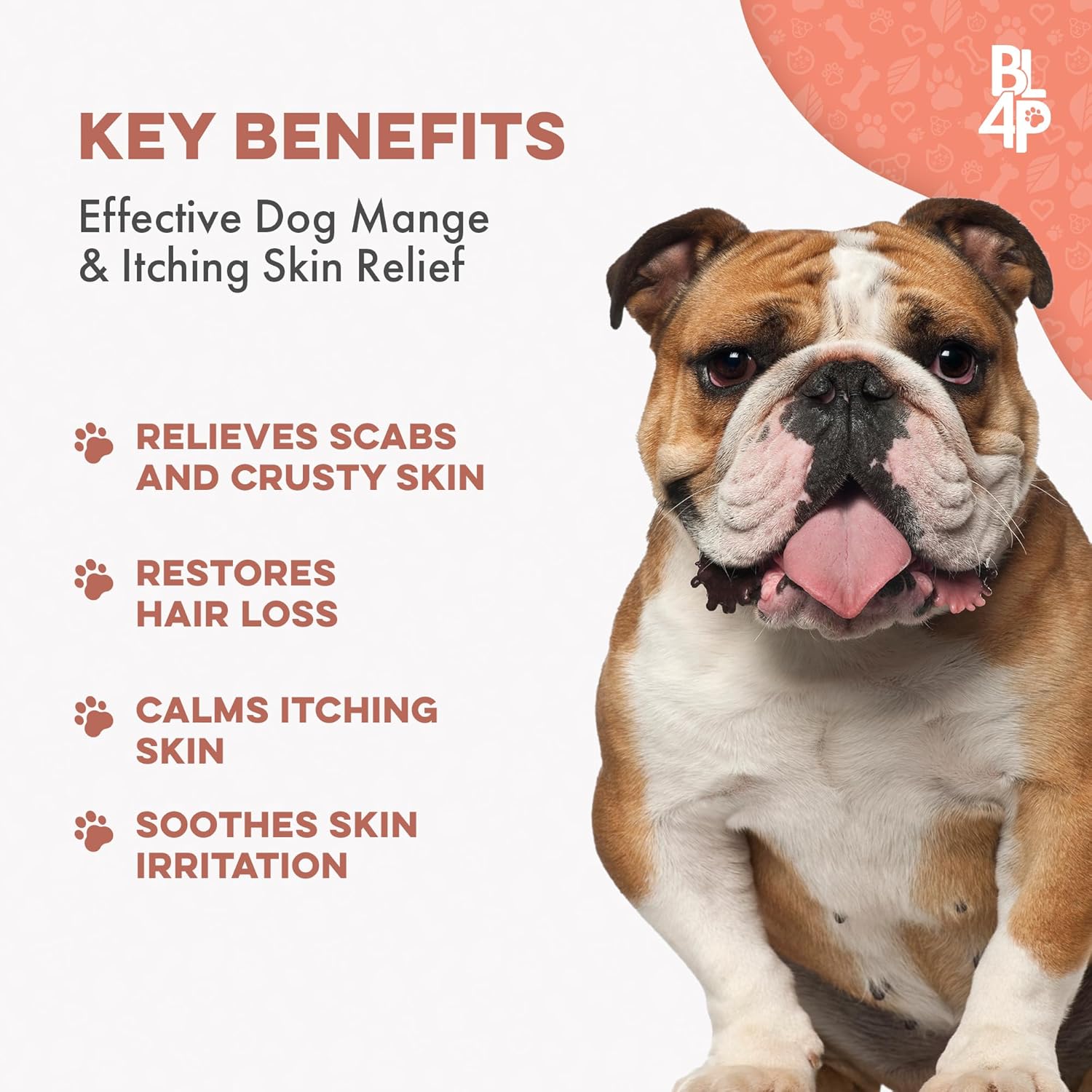Amazon.com : Mange Treatment for Dogs: Infographics