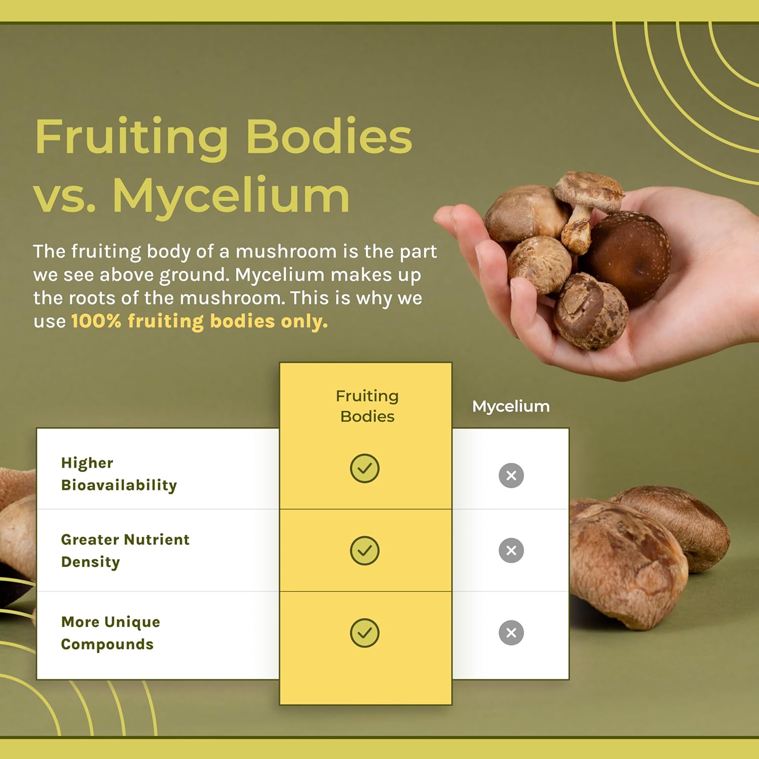 Amazon.com: Naturealm: Infographics