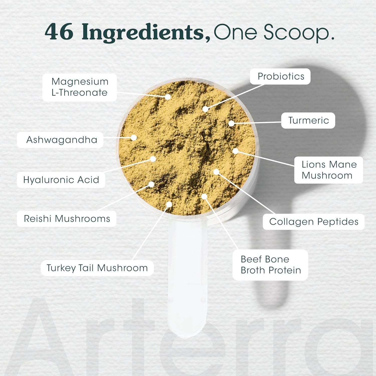 Amazon.com : All-in-One Dog Supplement for Advanced Wellness & Longevity: Infographics