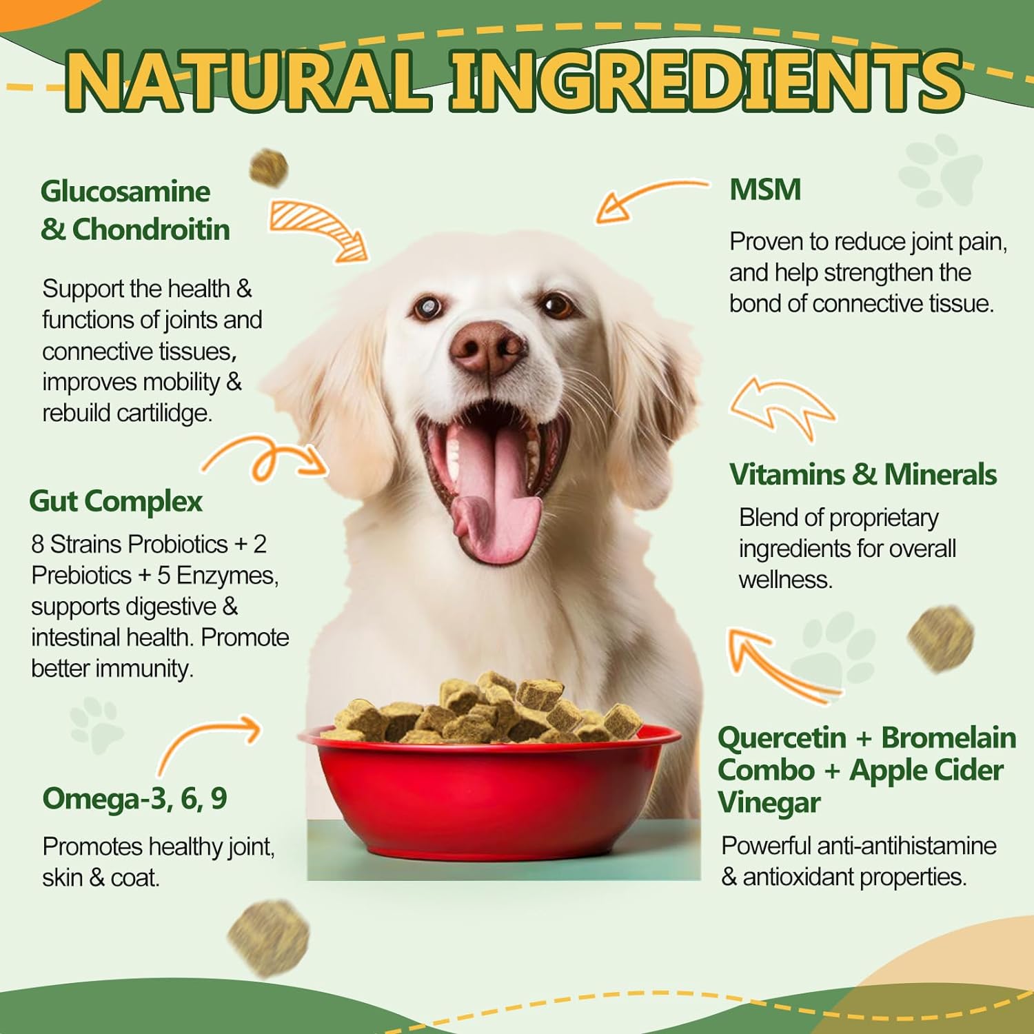 Amazon.com : Dog Multivitamin: Infographics