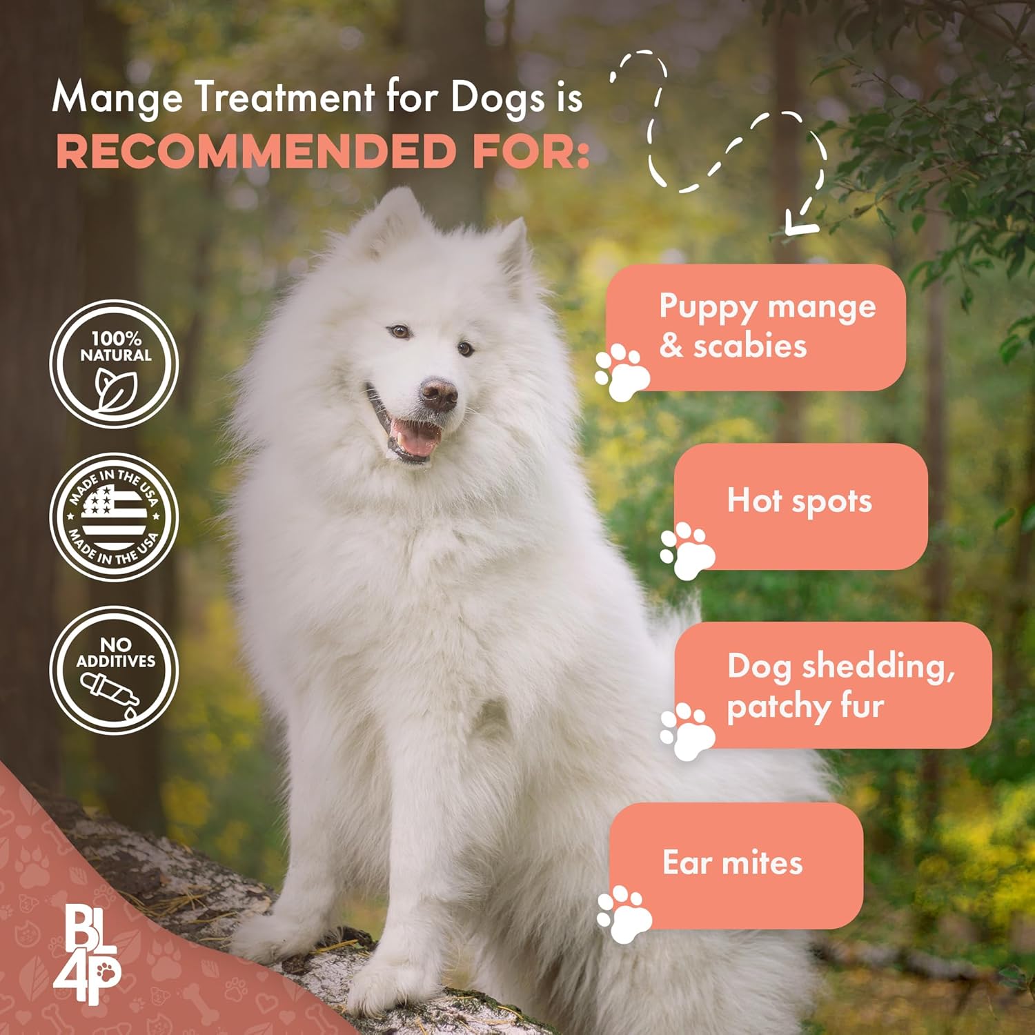 Amazon.com : Mange Treatment for Dogs: Infographics