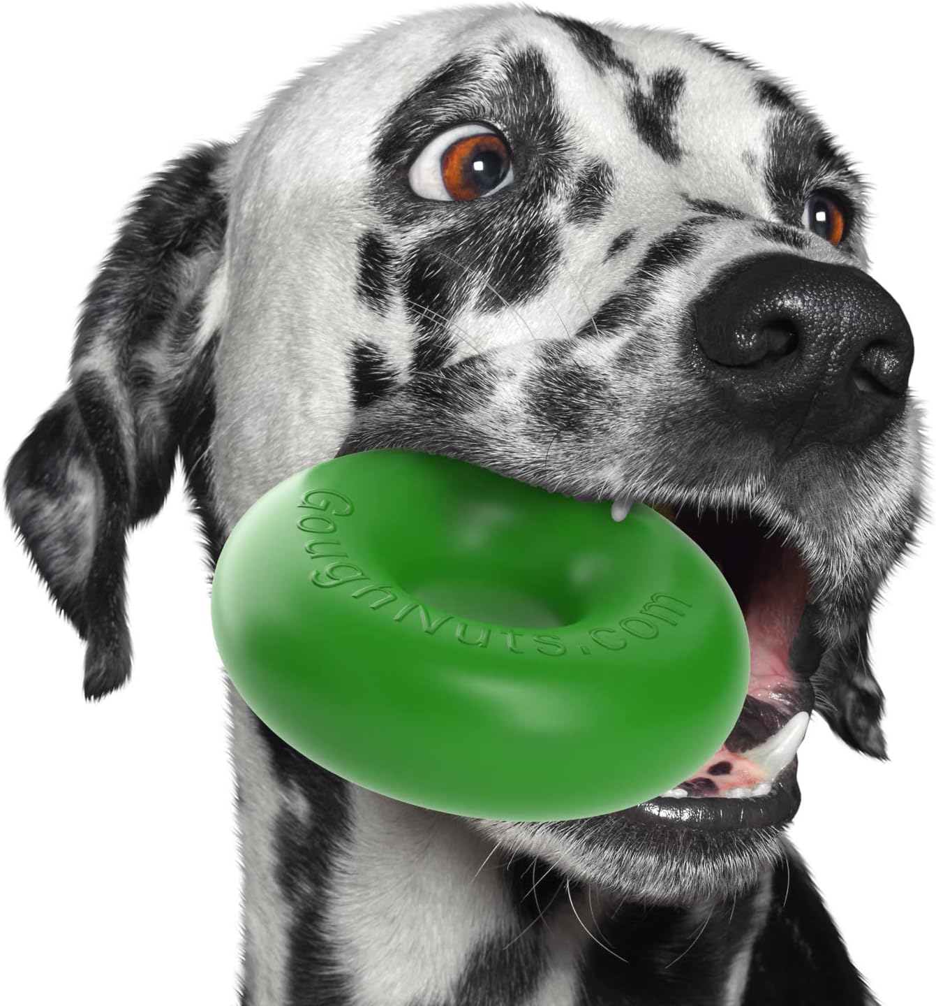 Pet Supplies : Pet Chew Toys : Goughnuts: Infographics