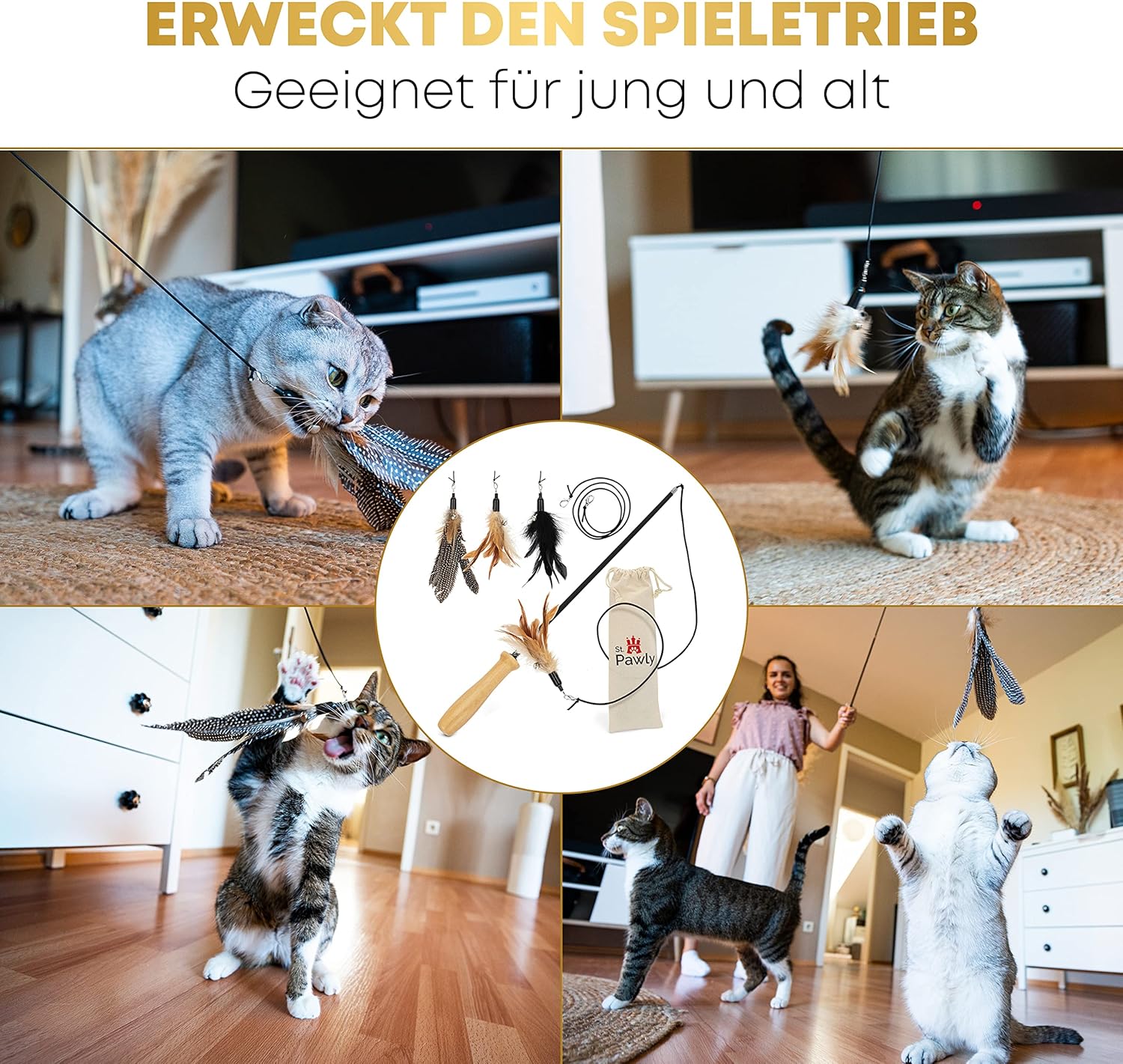 St.Pawly® Katzenangel: Infographics