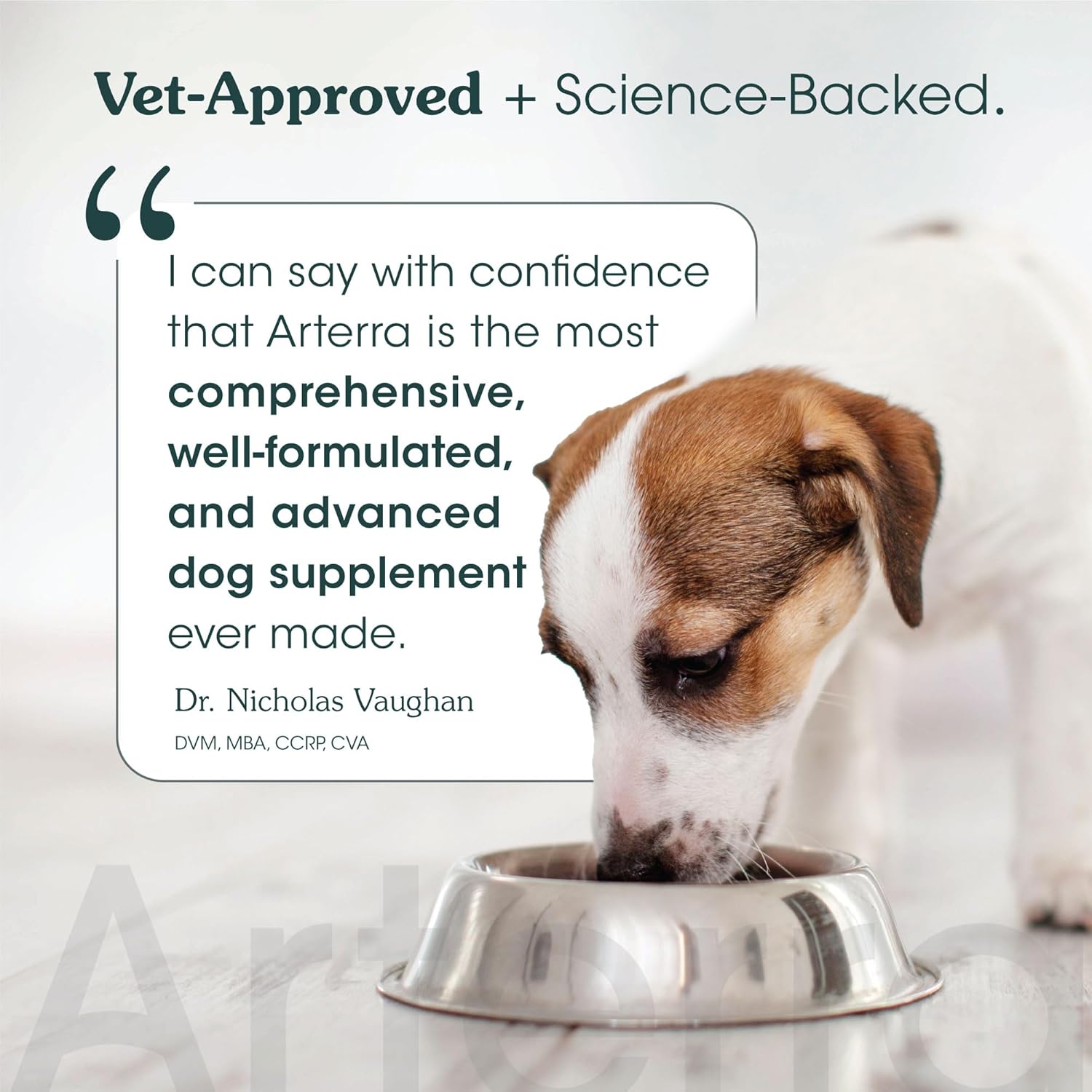 Infographics for Amazon.com : All-in-One Dog Supplement for Advanced Wellness & Longevity