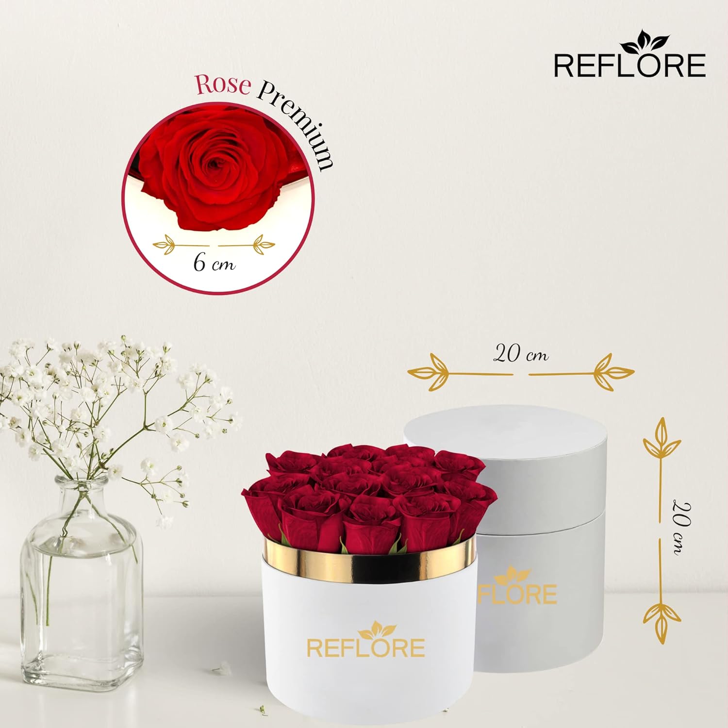 REFLORE 12 Rose Stabilizzate Vere Made in Italy: Infographics