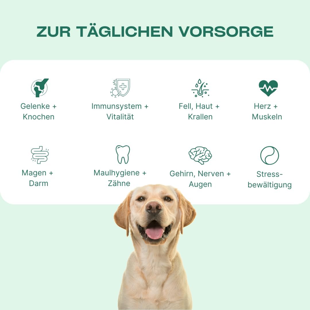 DOG1 8-in-1 Nahrungsergänzungsmittel Hund (1x) mit Vitamin B Komplex und Glucosamin: Infographics
