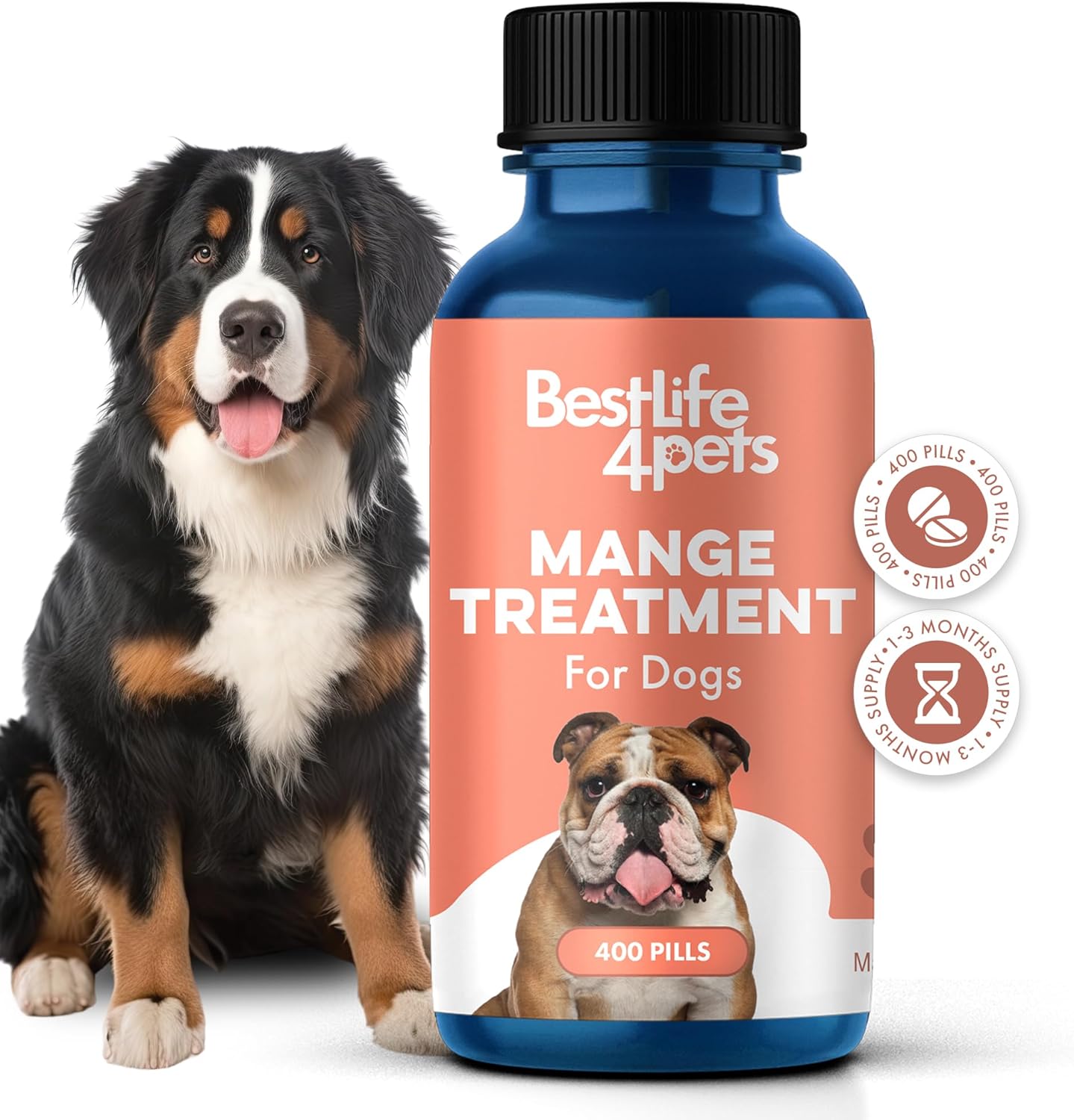Amazon.com : Mange Treatment for Dogs: Infographics