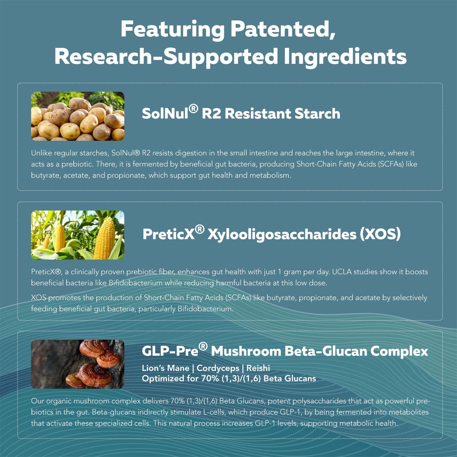 Amazon.com: GLP-Pre: Infographics