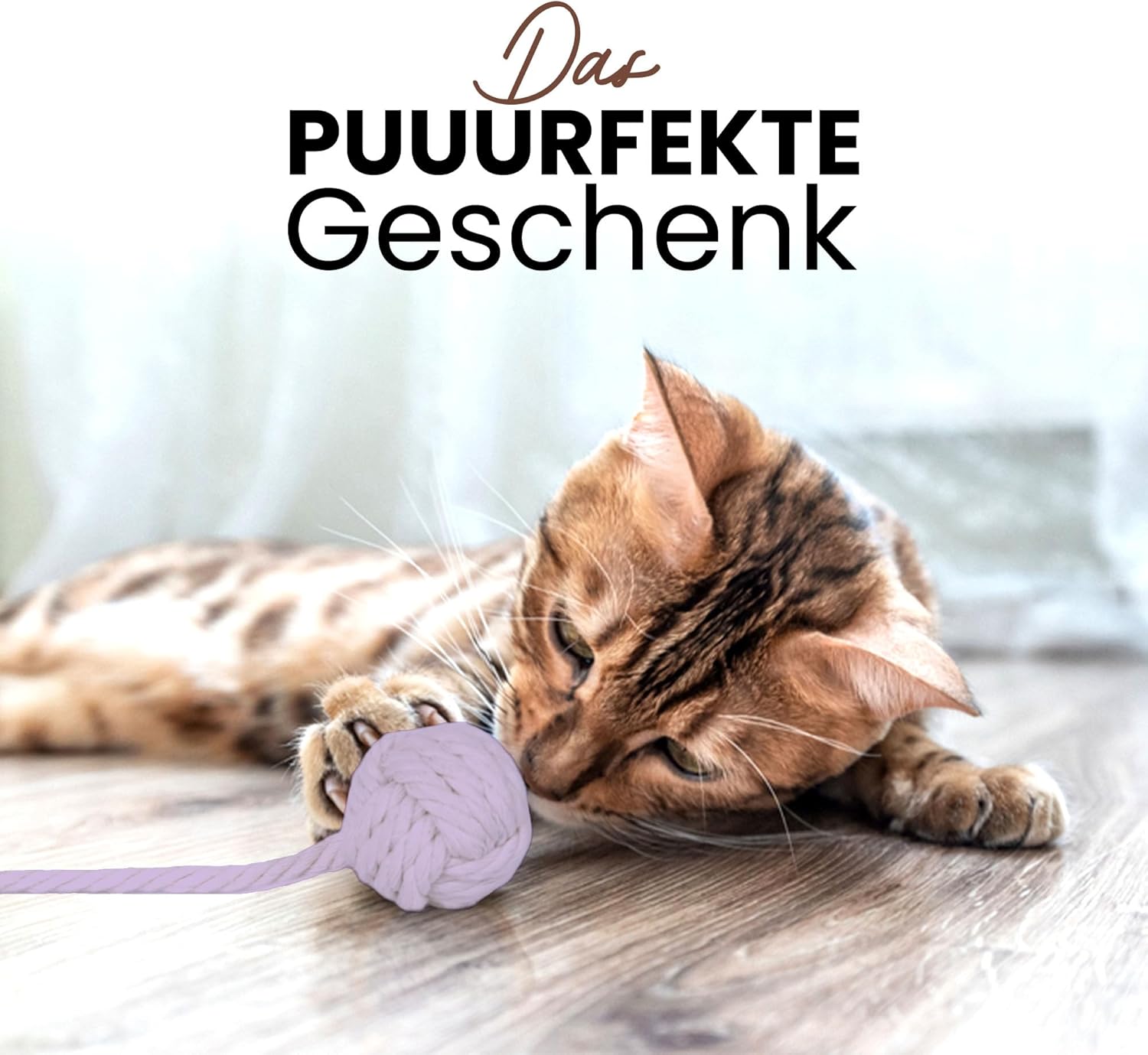 Petriumph® Katzenspielzeug Angel: Infographics